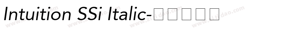 Intuition SSi Italic字体转换
